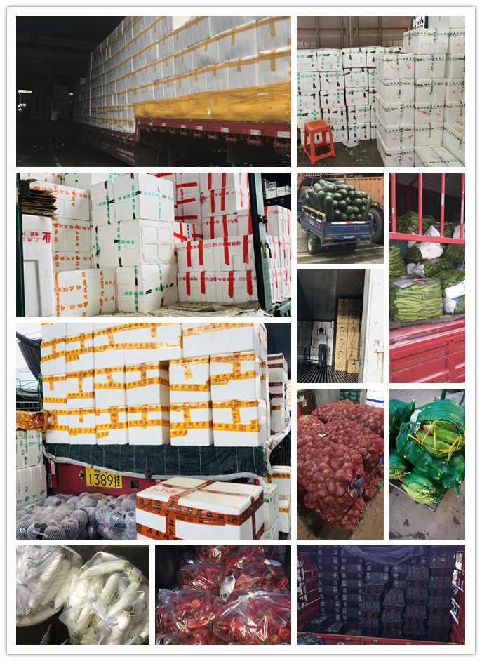 腾博会官网 - 诚信为本,专业服务!