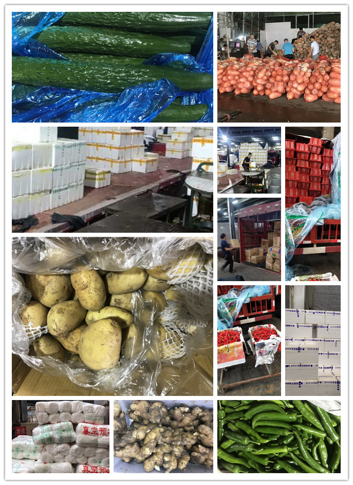 腾博会官网 - 诚信为本,专业服务!