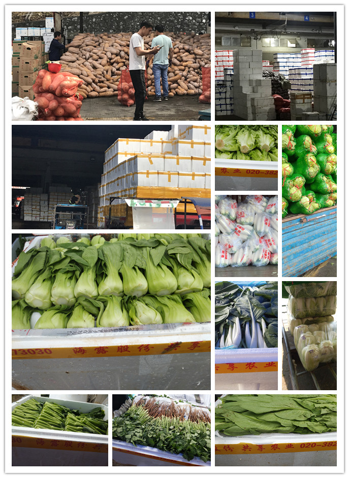 腾博会官网 - 诚信为本,专业服务!