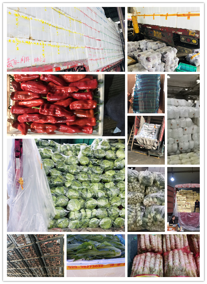 腾博会官网 - 诚信为本,专业服务!