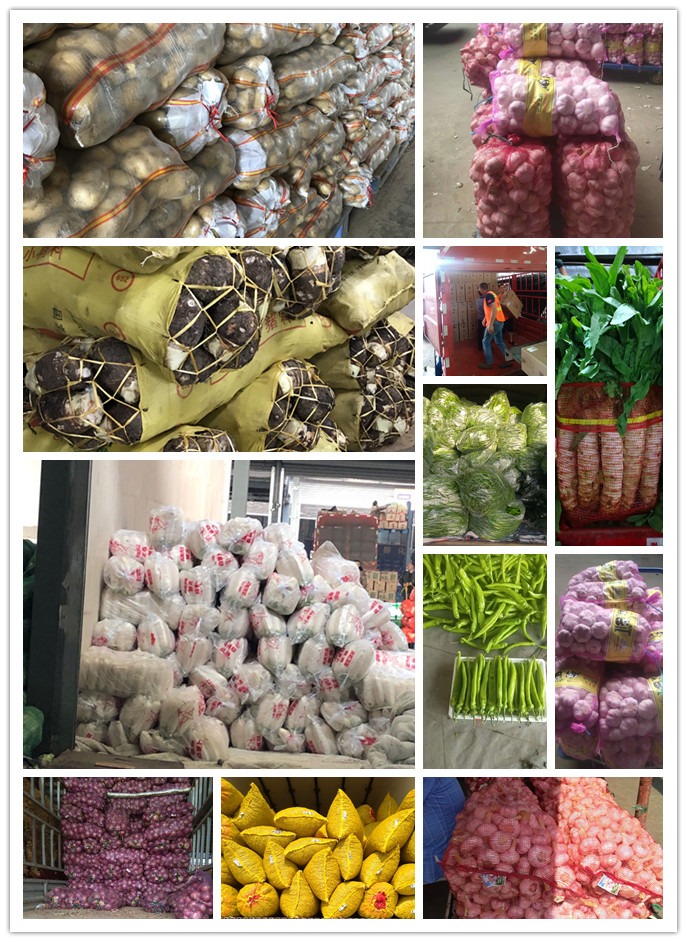 腾博会官网 - 诚信为本,专业服务!