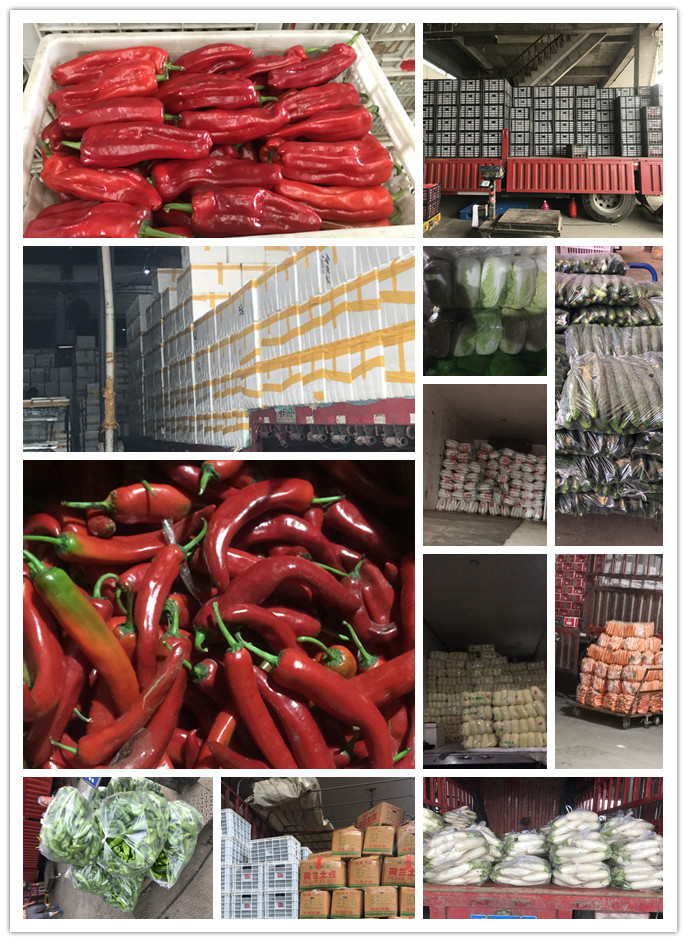 腾博会官网 - 诚信为本,专业服务!