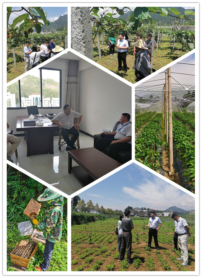 腾博会官网 - 诚信为本,专业服务!