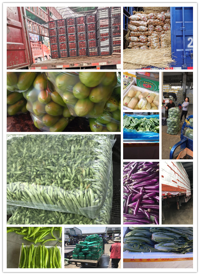 腾博会官网 - 诚信为本,专业服务!