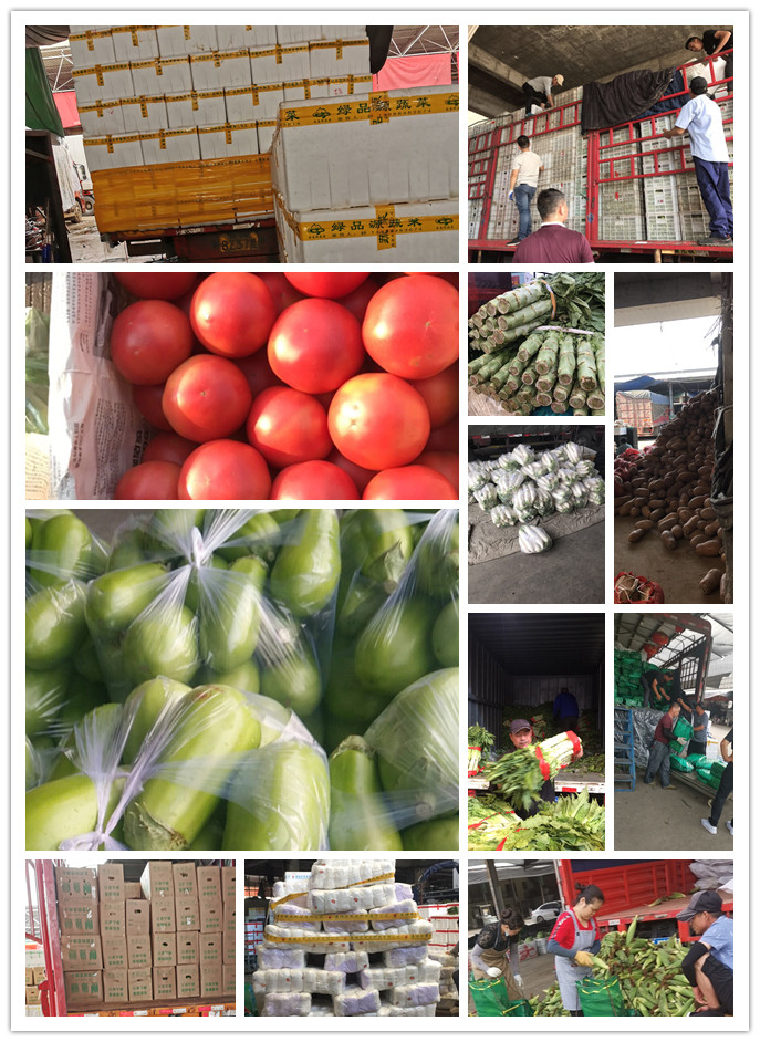 腾博会官网 - 诚信为本,专业服务!