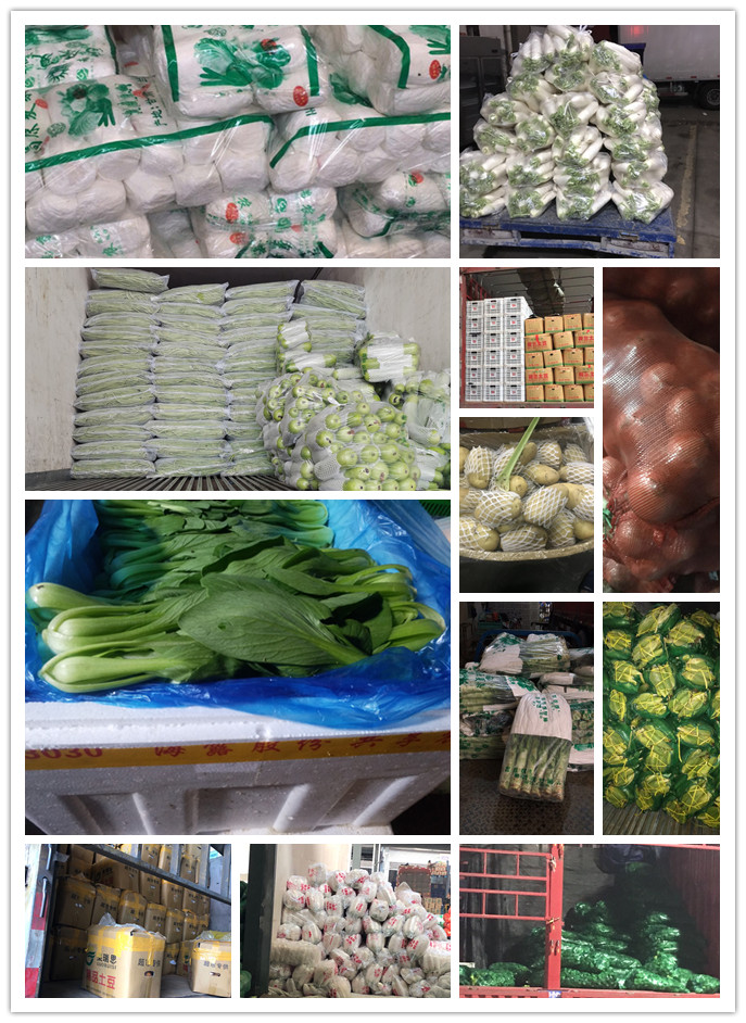 腾博会官网 - 诚信为本,专业服务!