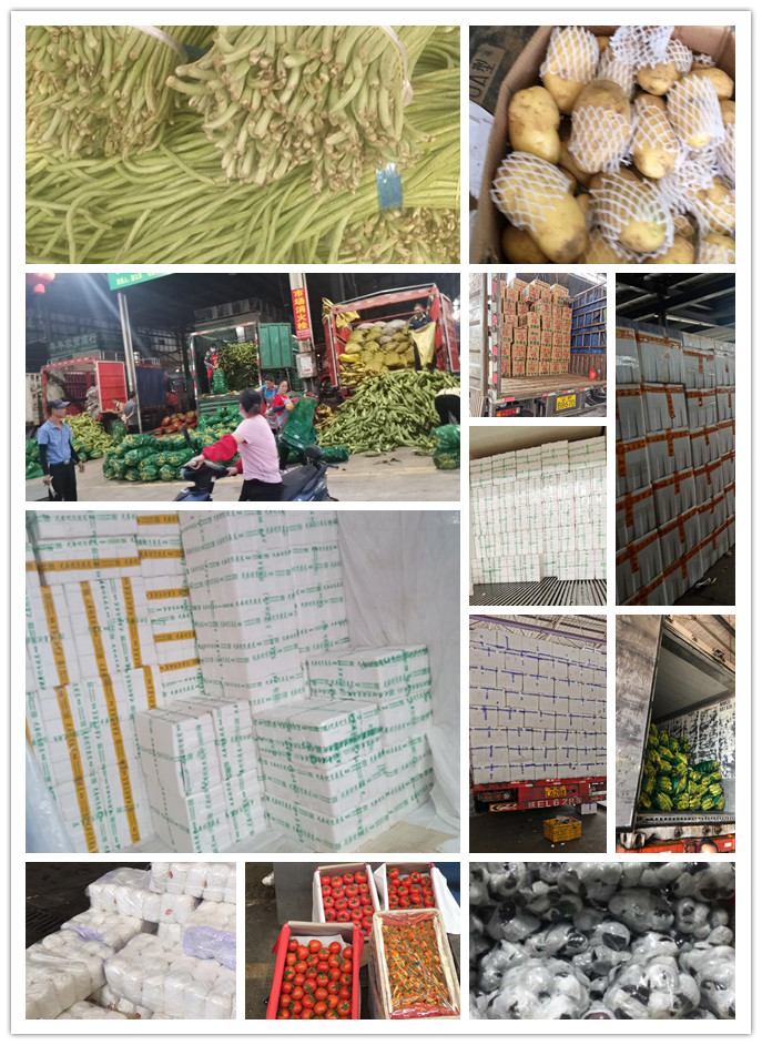 腾博会官网 - 诚信为本,专业服务!