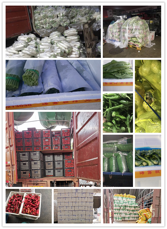 腾博会官网 - 诚信为本,专业服务!