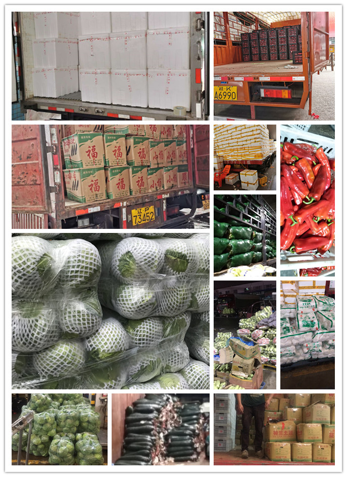 腾博会官网 - 诚信为本,专业服务!