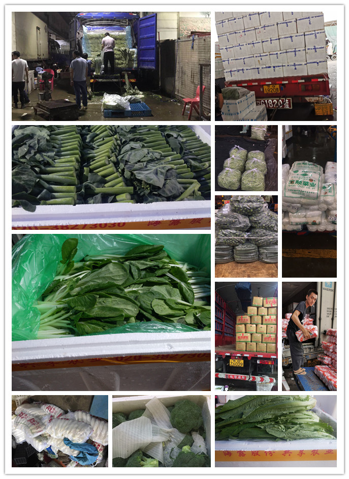 腾博会官网 - 诚信为本,专业服务!