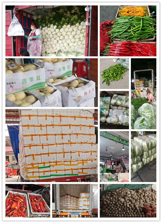 腾博会官网 - 诚信为本,专业服务!