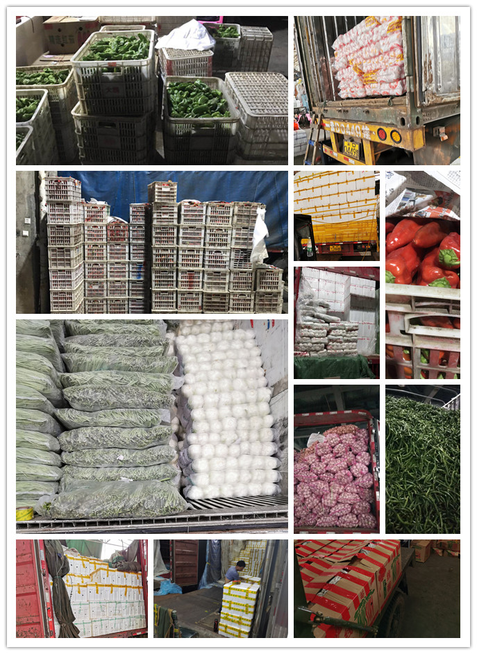 腾博会官网 - 诚信为本,专业服务!