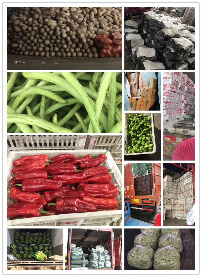 腾博会官网 - 诚信为本,专业服务!