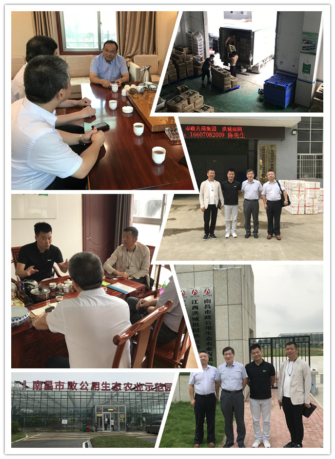 腾博会官网 - 诚信为本,专业服务!