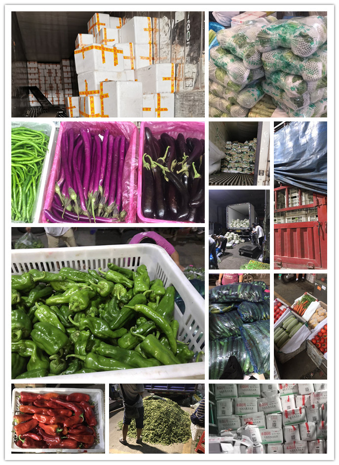 腾博会官网 - 诚信为本,专业服务!