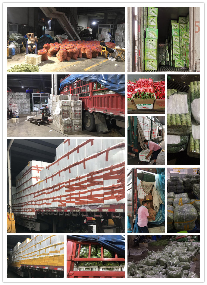 腾博会官网 - 诚信为本,专业服务!