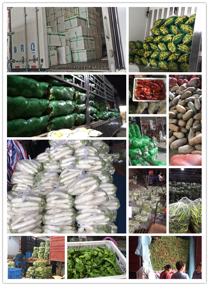 腾博会官网 - 诚信为本,专业服务!