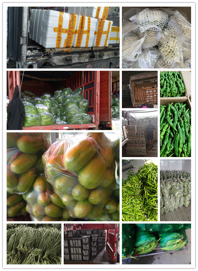 腾博会官网 - 诚信为本,专业服务!