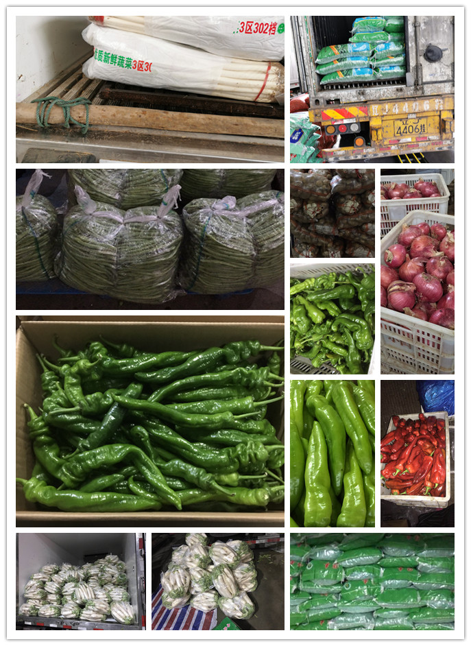 腾博会官网 - 诚信为本,专业服务!