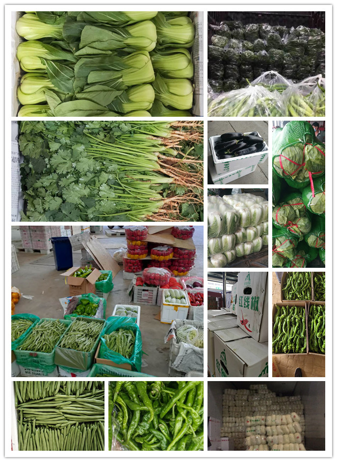 腾博会官网 - 诚信为本,专业服务!