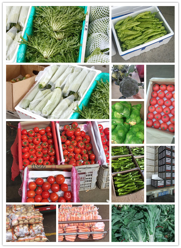 腾博会官网 - 诚信为本,专业服务!