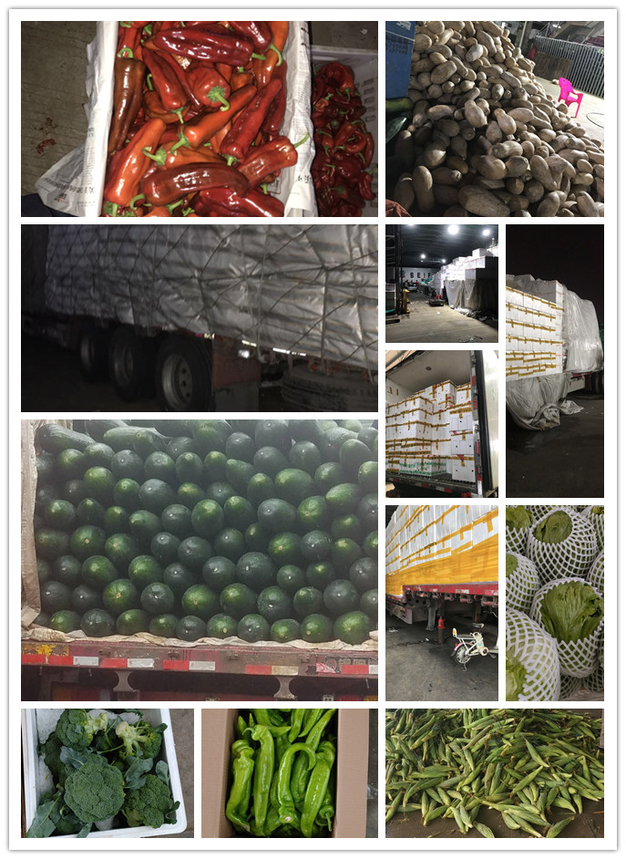 腾博会官网 - 诚信为本,专业服务!