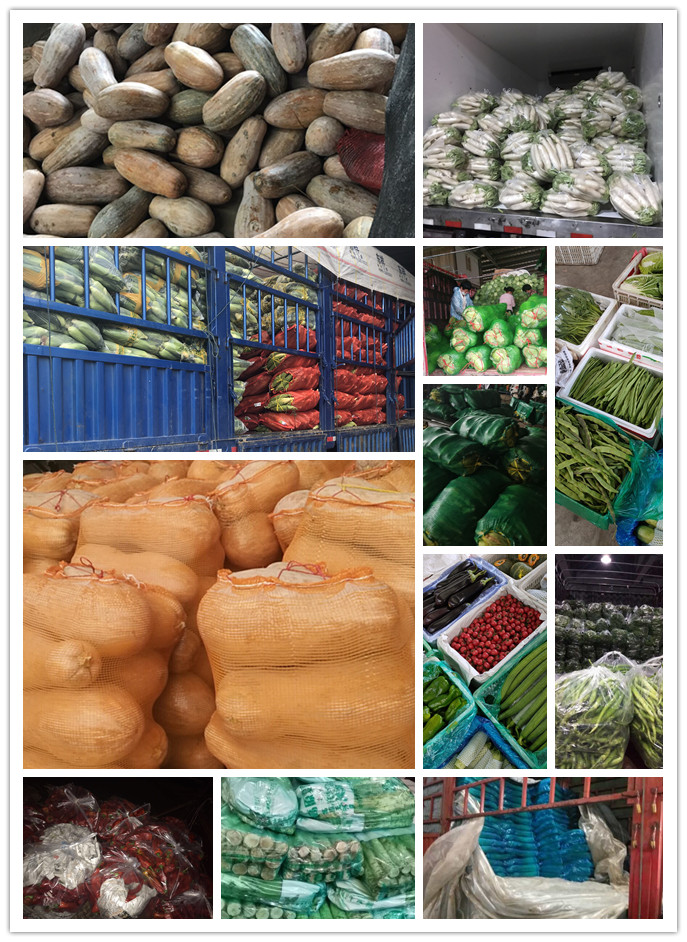 腾博会官网 - 诚信为本,专业服务!