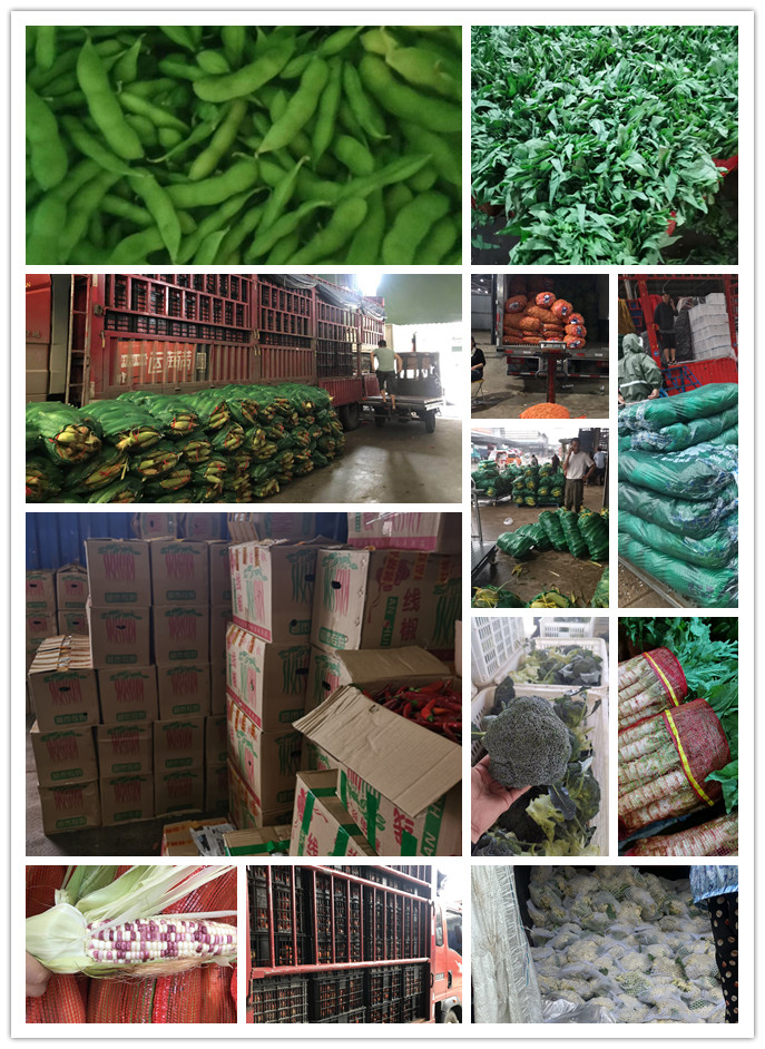 腾博会官网 - 诚信为本,专业服务!