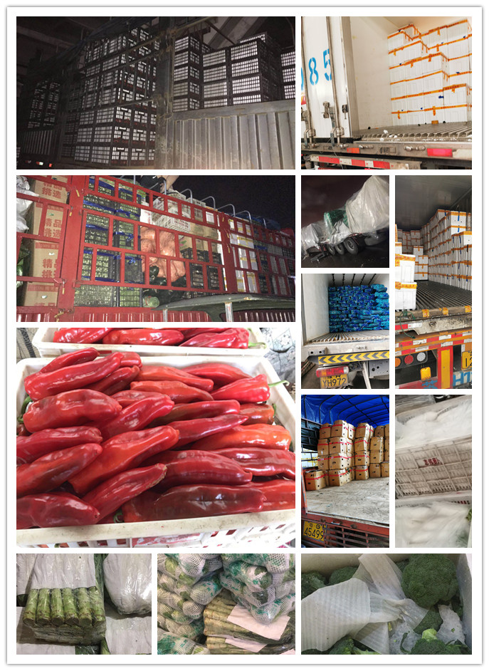 腾博会官网 - 诚信为本,专业服务!