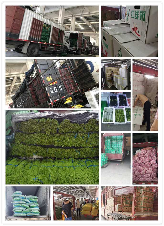 腾博会官网 - 诚信为本,专业服务!