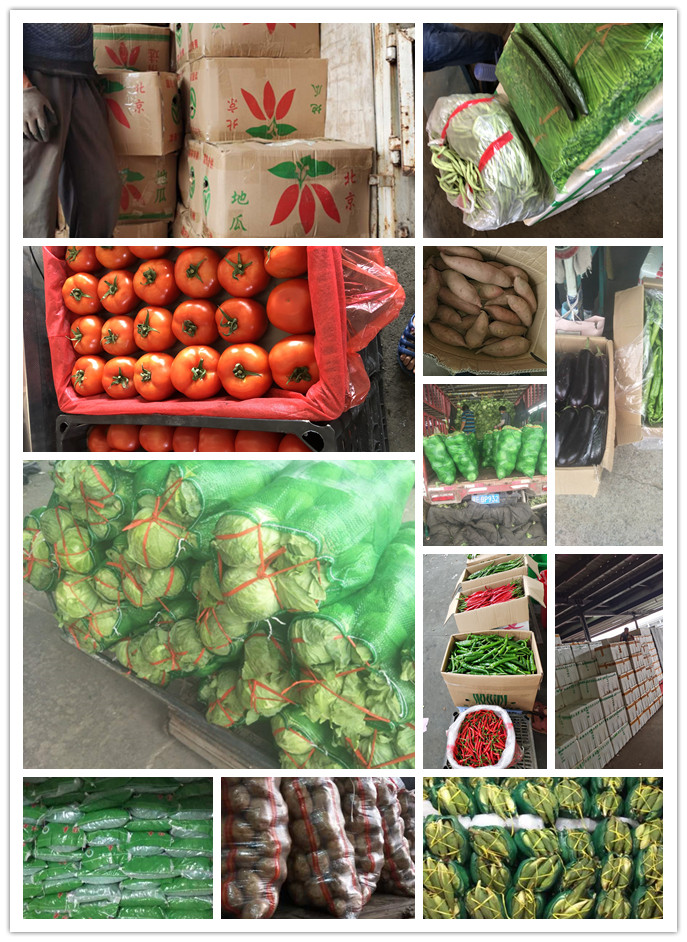 腾博会官网 - 诚信为本,专业服务!