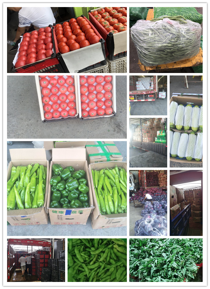 腾博会官网 - 诚信为本,专业服务!