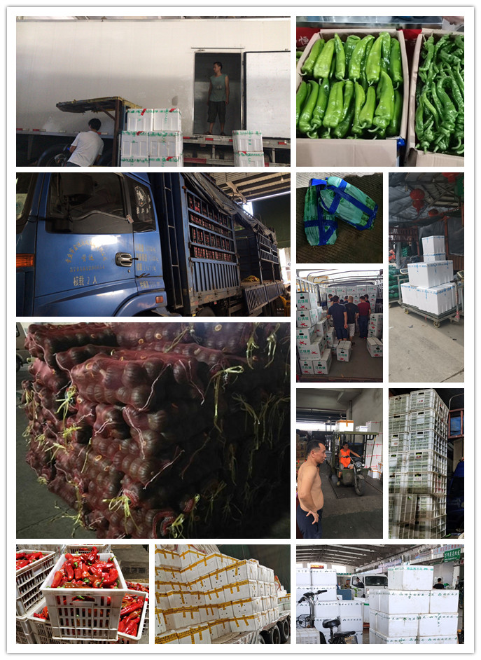 腾博会官网 - 诚信为本,专业服务!