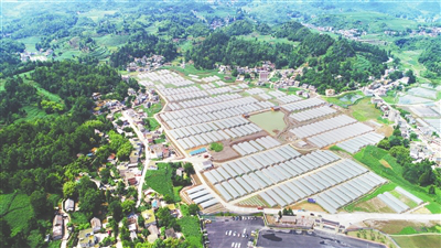 腾博会官网 - 诚信为本,专业服务!