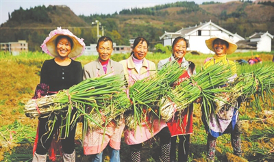 腾博会官网 - 诚信为本,专业服务!