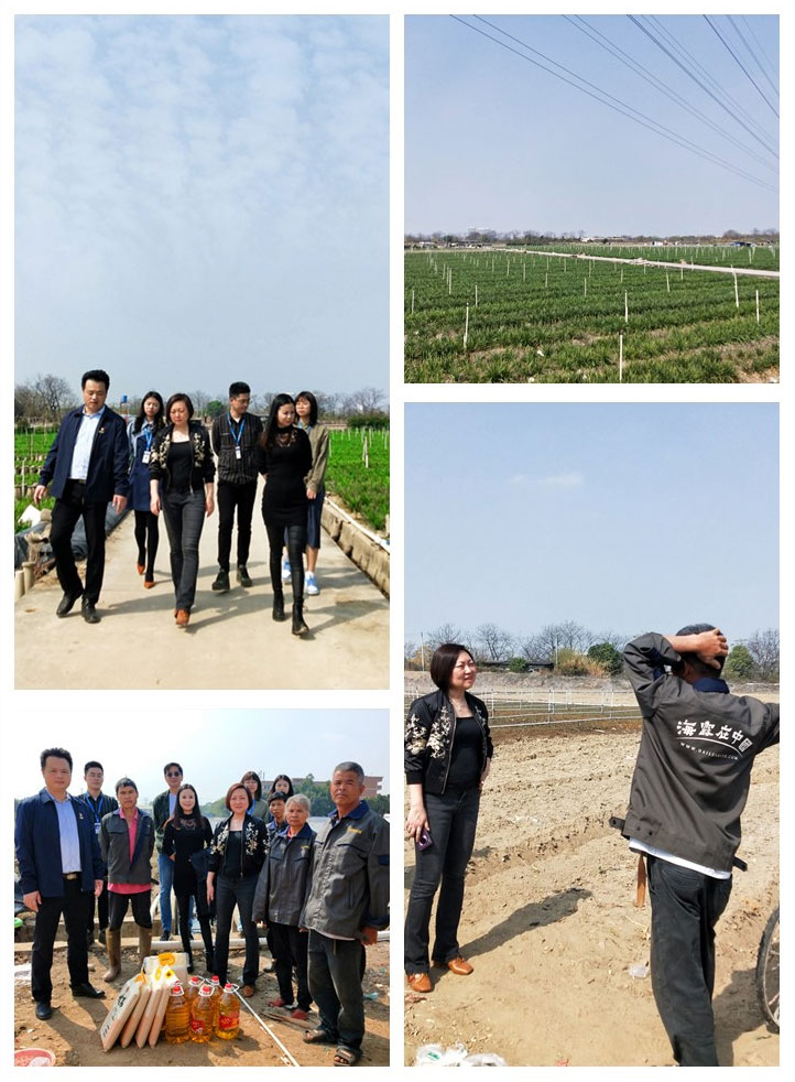 腾博会官网 - 诚信为本,专业服务!