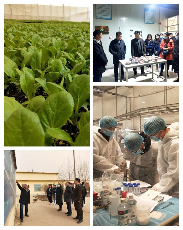 腾博会官网 - 诚信为本,专业服务!