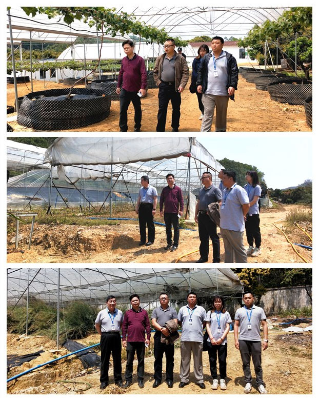 腾博会官网 - 诚信为本,专业服务!