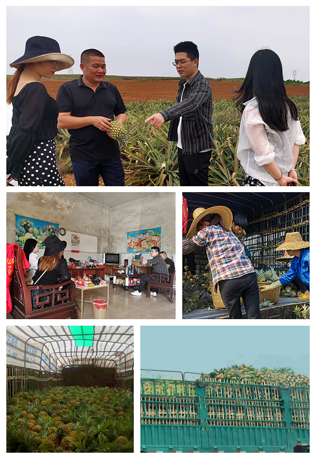 腾博会官网 - 诚信为本,专业服务!