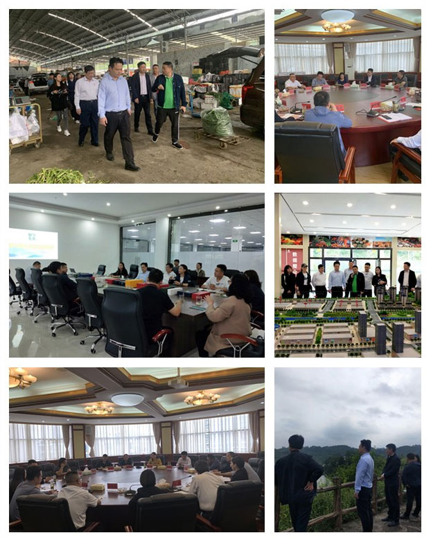 腾博会官网 - 诚信为本,专业服务!