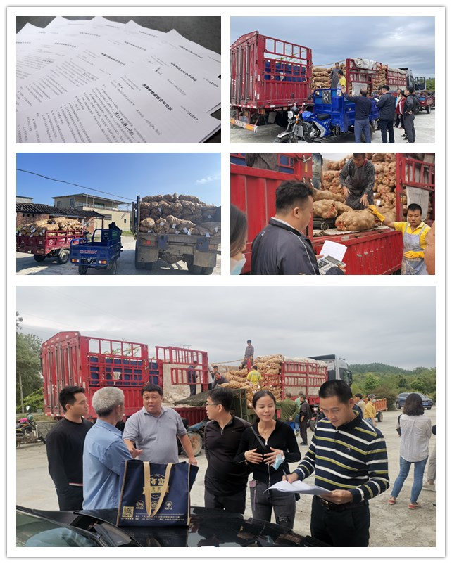 腾博会官网 - 诚信为本,专业服务!