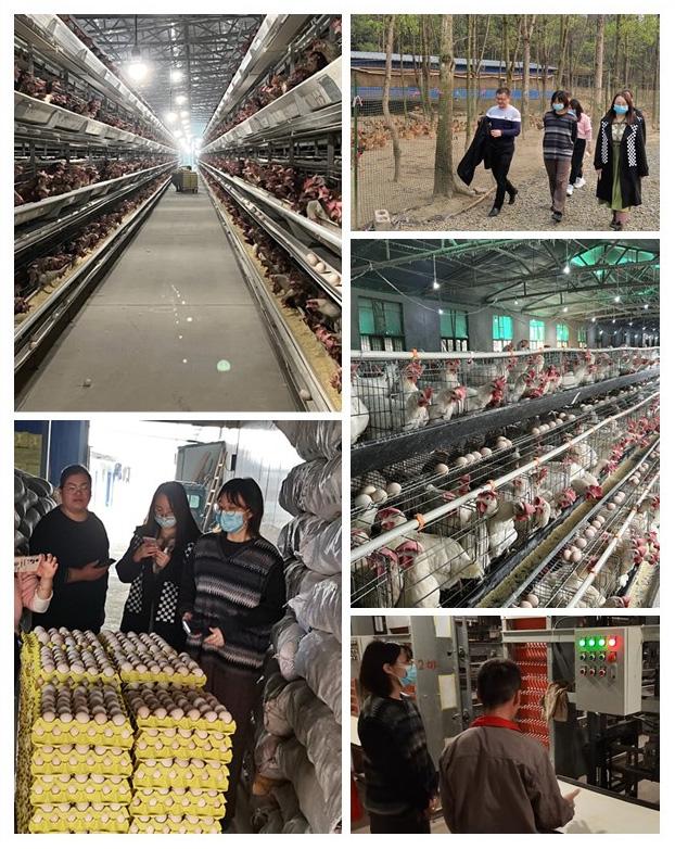 腾博会官网 - 诚信为本,专业服务!