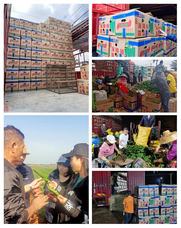 腾博会官网 - 诚信为本,专业服务!