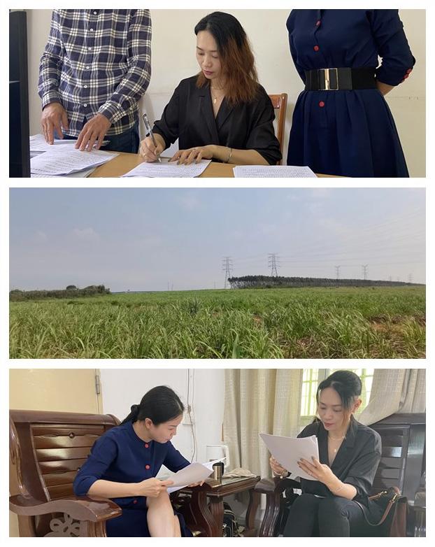 腾博会官网 - 诚信为本,专业服务!