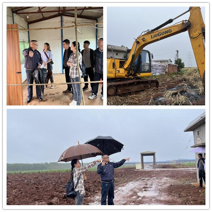 腾博会官网 - 诚信为本,专业服务!