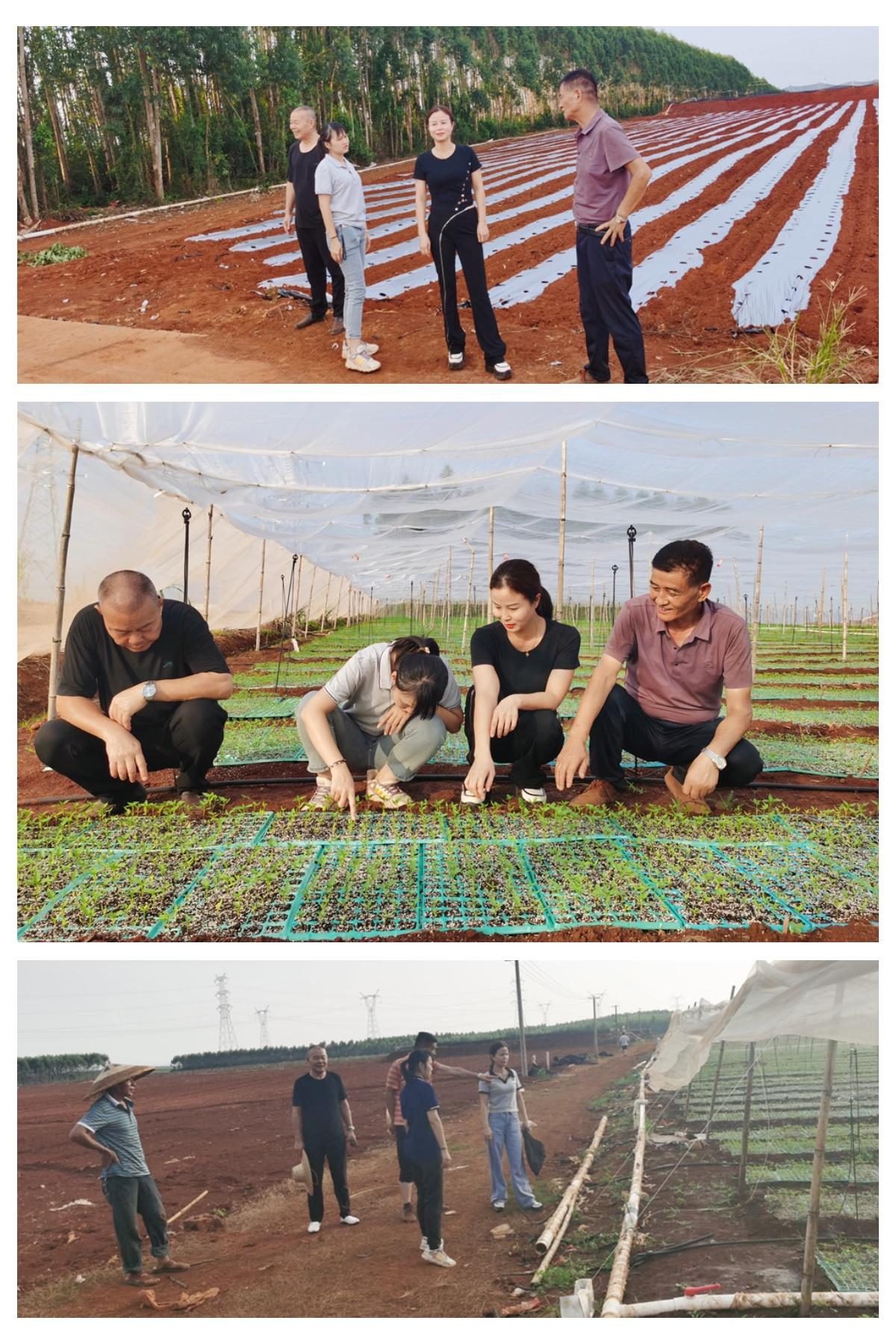 腾博会官网 - 诚信为本,专业服务!