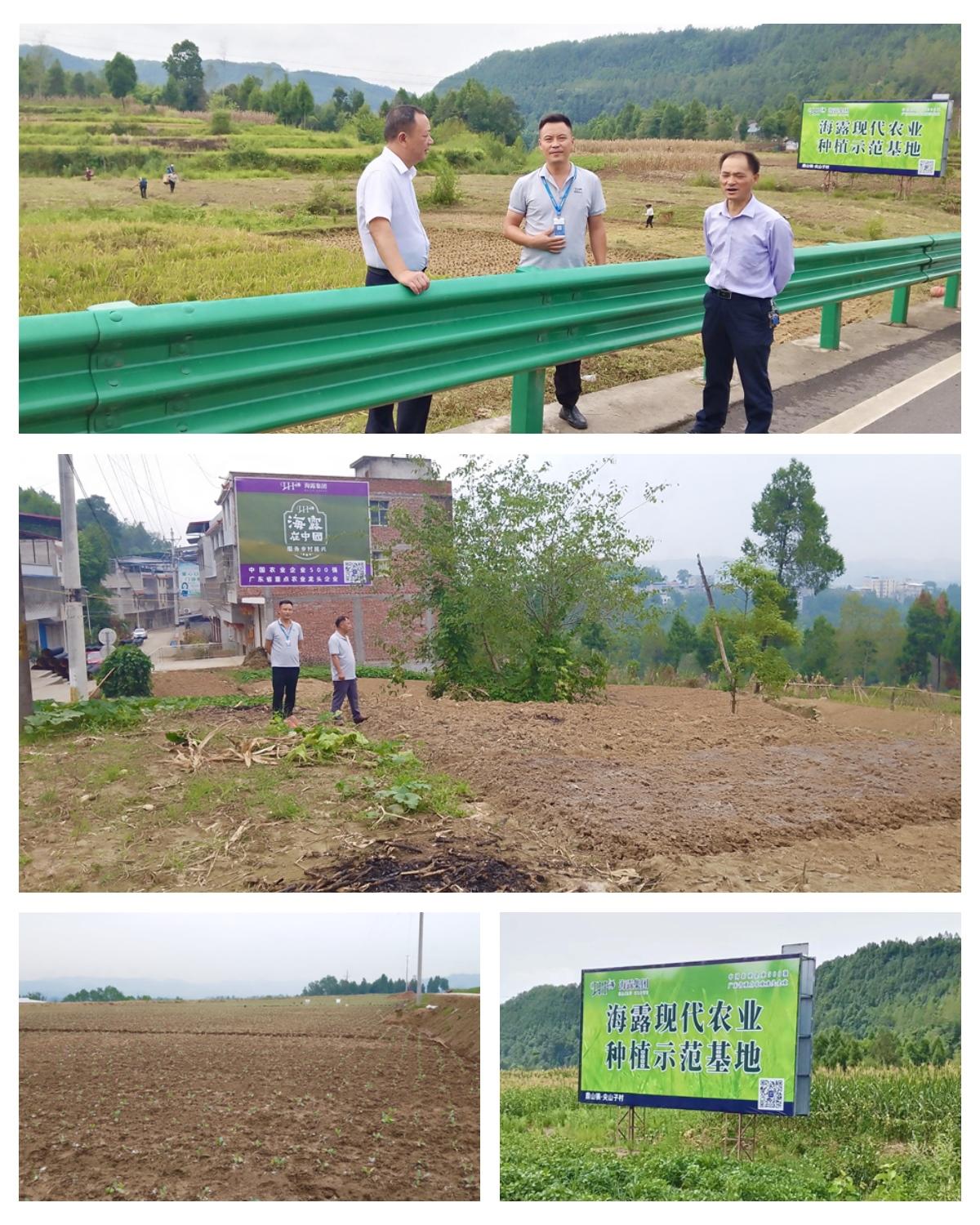 腾博会官网 - 诚信为本,专业服务!