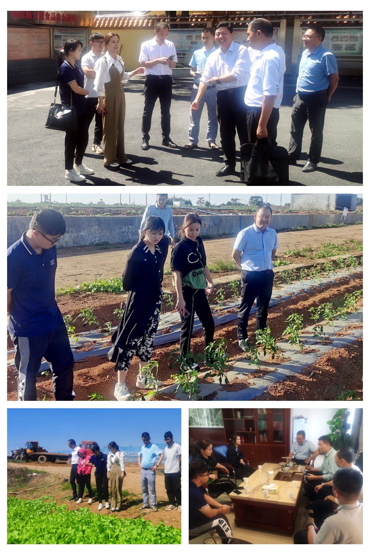 腾博会官网 - 诚信为本,专业服务!