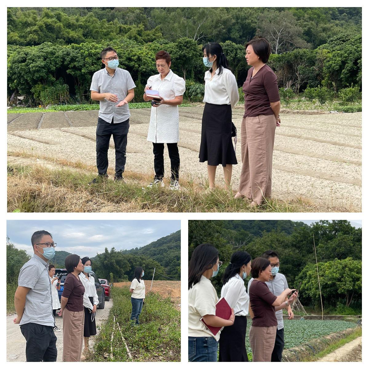 腾博会官网 - 诚信为本,专业服务!