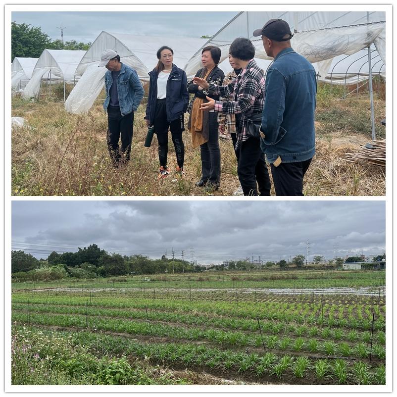 腾博会官网 - 诚信为本,专业服务!